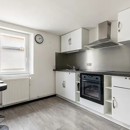 Tatil Evi Cosy 55 M2 Dans Dependance Avec Jardin Sarreguemines