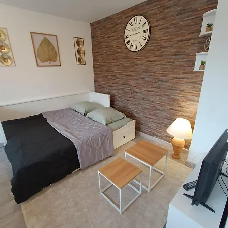 Cosy 55 M2 Dans Dependance Avec Jardin * Sarreguemines